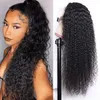 Pre Plucked Brazilian Virgin Human Hair Jerry Curly Transparent Lace Front Wig