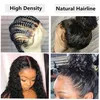 Pre Plucked Brazilian Virgin Human Hair Jerry Curly Transparent Lace Front Wig