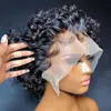 Factory Price Supply Pixie Cut Human Hair Short Cheap Wig