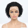 Pixie Cut Short Curly Wig Lace Wig Short Pixie 100% Human Hair Wig
