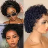 Pixie Cut Short Curly Wig Lace Wig Short Pixie 100% Human Hair Wig