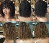 Wholesale Brazilian Black Natural Afro Kinky Curly Machined Human Hair Wig
