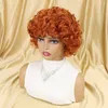2022 Wholesale New Sunlight Cut Pixie Brazilian Human Hair Short Curly Wig