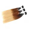 Wholesale Natural Human Virgin Hair Weft Weave Bundles